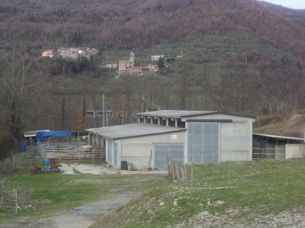 Le Chianine Dei Tognoli Hotel Gragnola Esterno foto