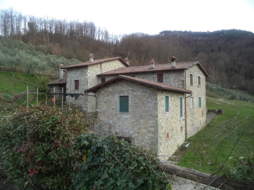 Le Chianine Dei Tognoli Hotel Gragnola Esterno foto